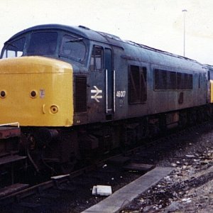46007_YK_198x.jpg