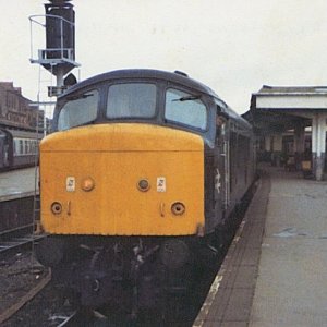 46029_DY_211181.jpg