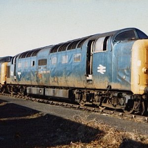 55004_DN_140282.jpg