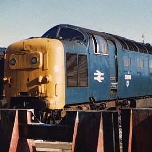 55011_DN_140282.jpg
