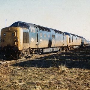 55017_DN_140282.jpg