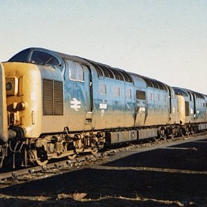 55019_DN_140282.jpg