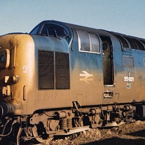 55021_DN_140282.jpg