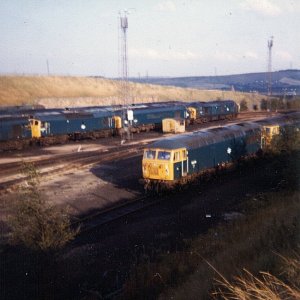 56078_TI_210980.jpg