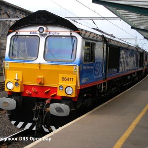 66411c.JPG