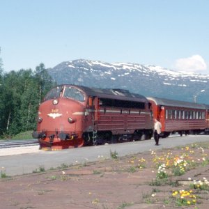 06.jpg