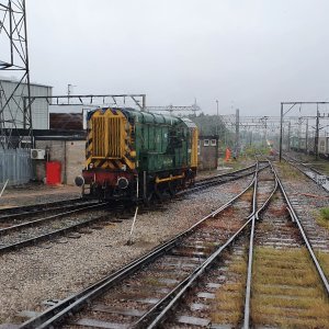 05.jpg