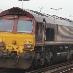 66050