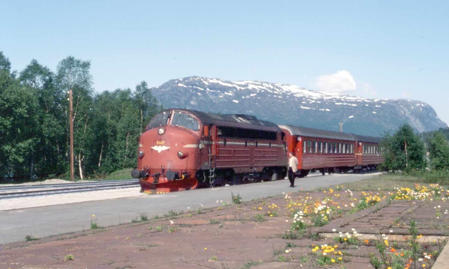 06.jpg