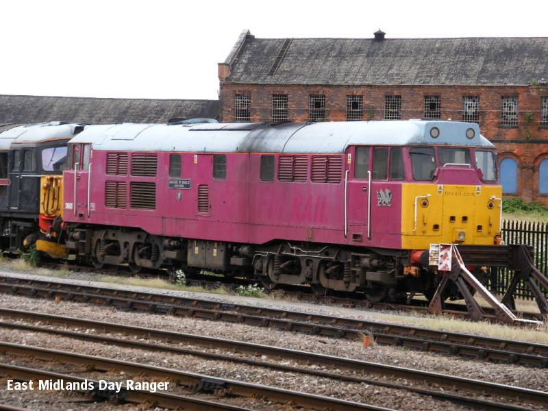 31601.JPG