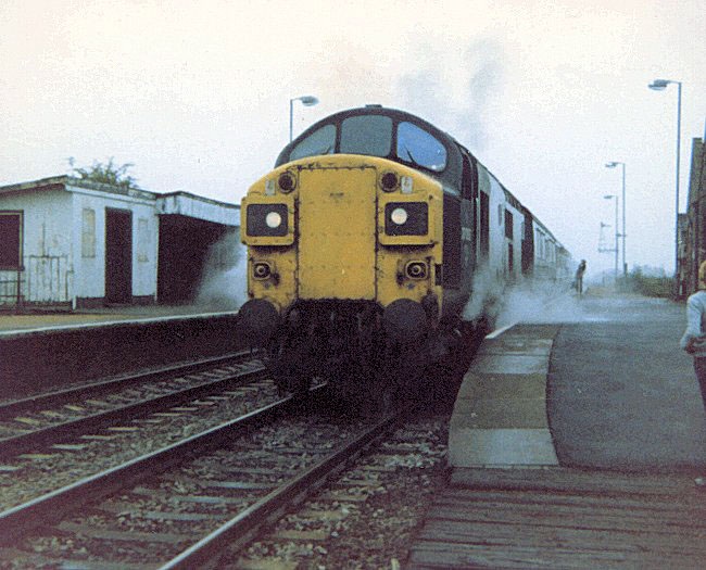 37017_IR_290883.jpg