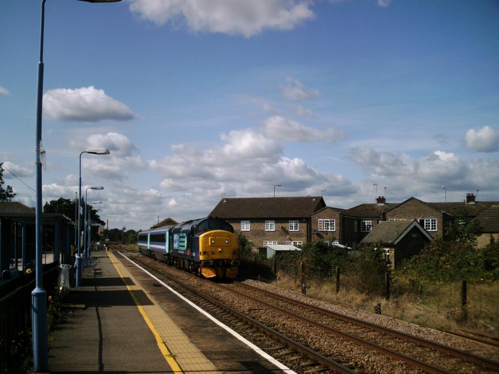 37229