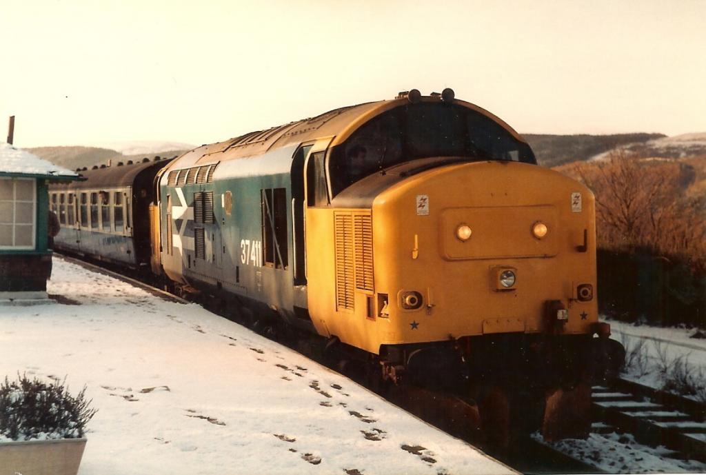 37411