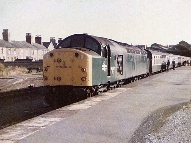 40092_Ll_280882.jpg