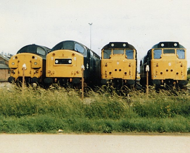 40145_MR_260682.jpg