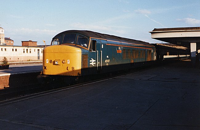 45107_DY_198x.jpg