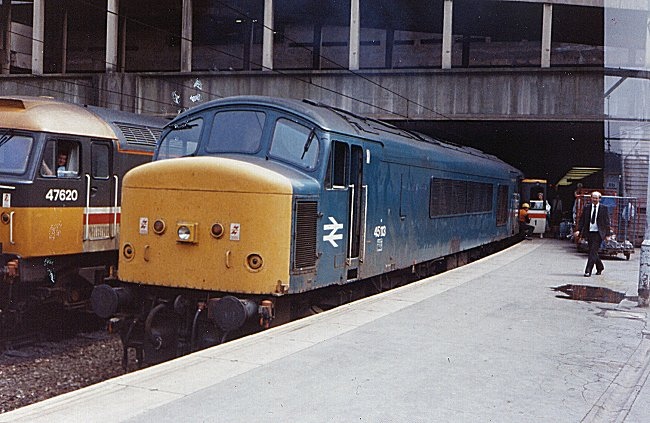 45113_BNS_200687.jpg