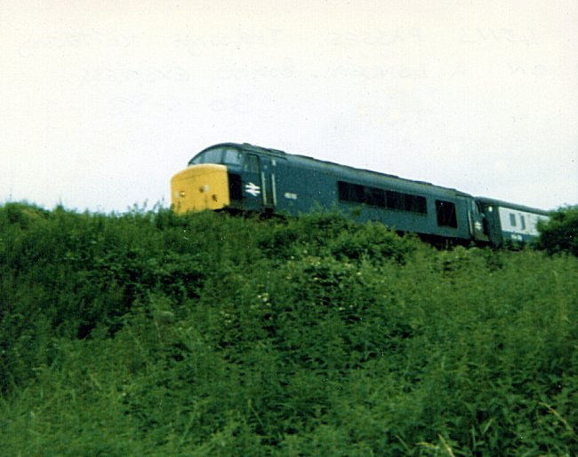 45113_KT_300683.jpg
