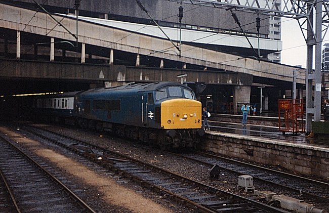 45121_BNS_230587.jpg