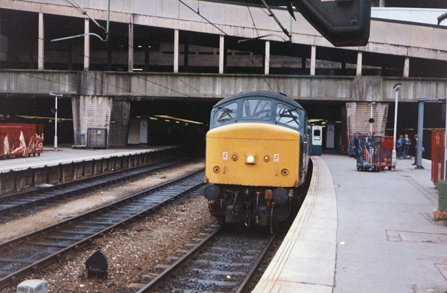 45124_BNS_200787.jpg