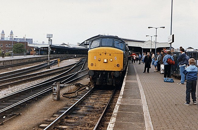 45134_2_BR_130687.jpg
