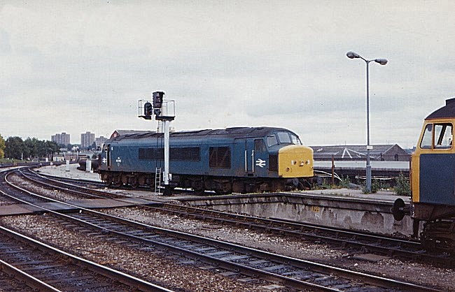 45145_BR_270687.jpg