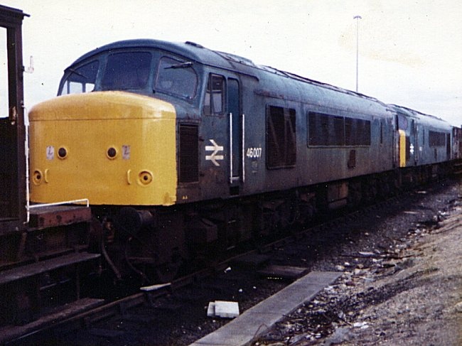 46007_YK_198x.jpg