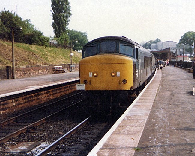 46029_CL_150582.jpg