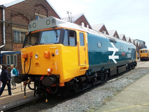 50026
