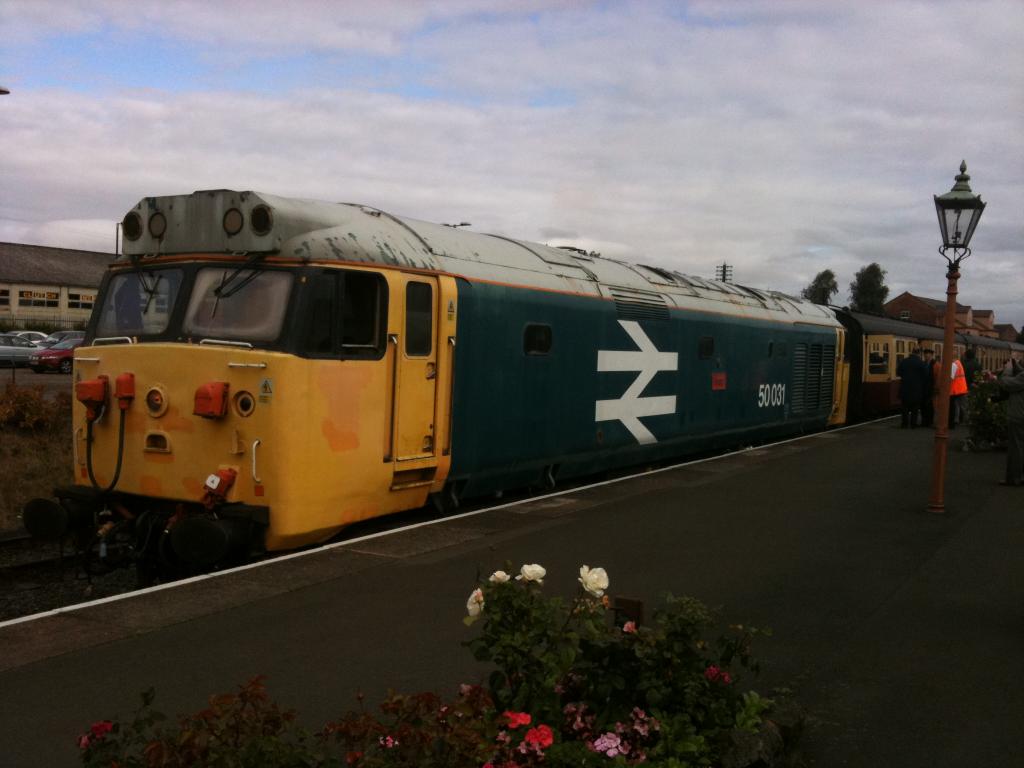 50031