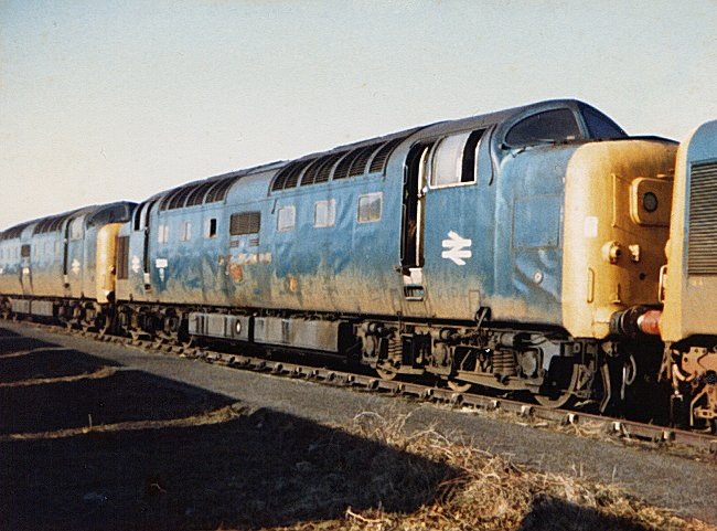 55004_DN_140282.jpg