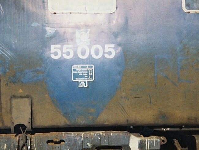 55005_DN_140282.jpg