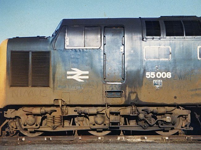 55008_DN_140282.jpg