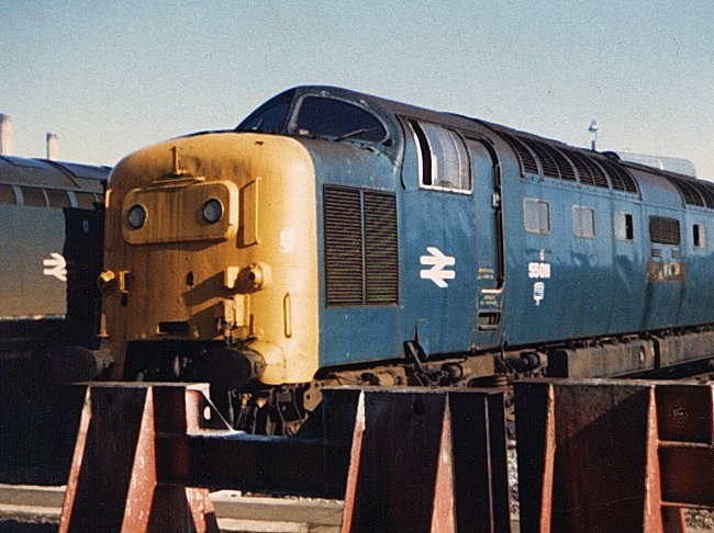 55011_DN_140282.jpg