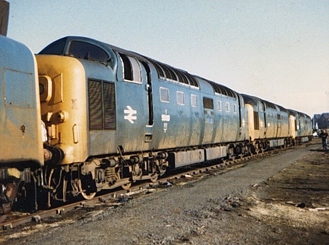 55013_DN_140282.jpg