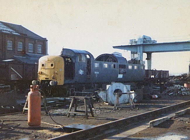 55014_DN_140282.jpg