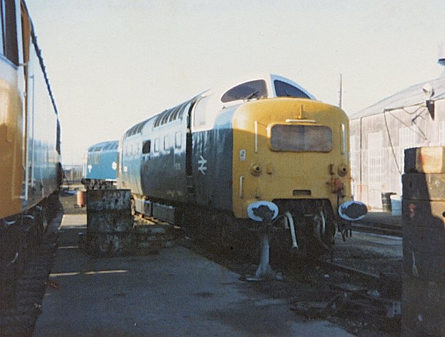 55015_DN_140282.jpg