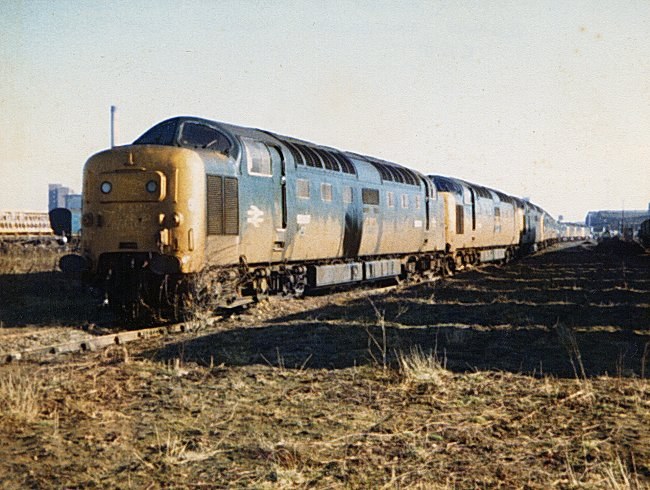 55017_DN_140282.jpg