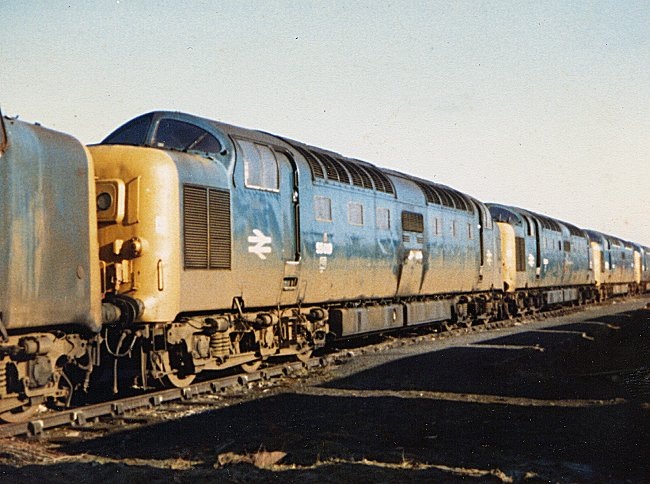 55019_DN_140282.jpg