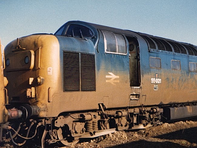 55021_DN_140282.jpg