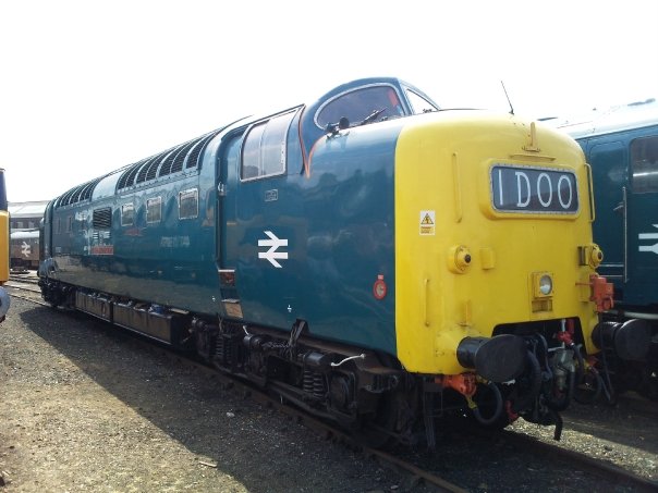 55022