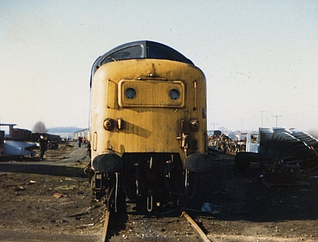 55xxx_2_DN_140282.jpg