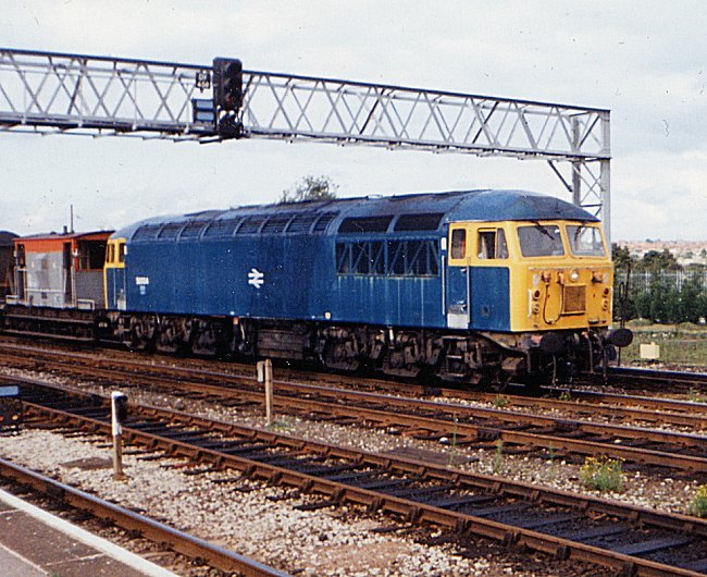 56004_DY_198x.jpg