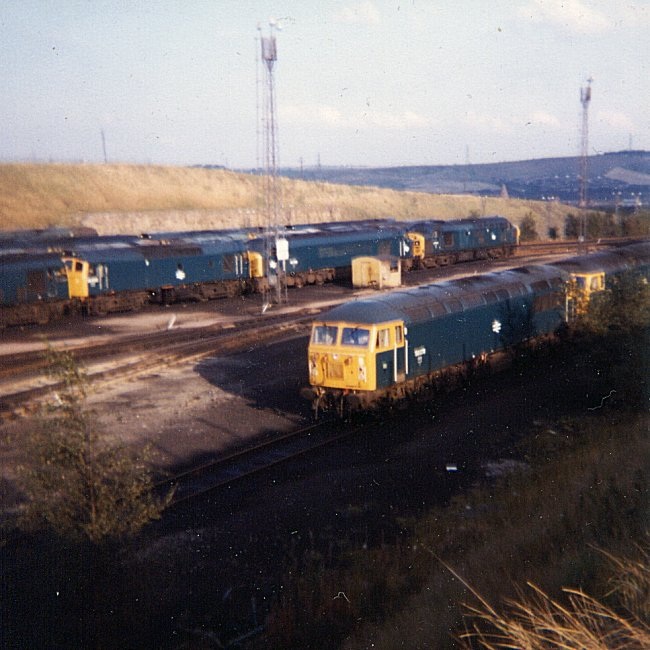56078_TI_210980.jpg