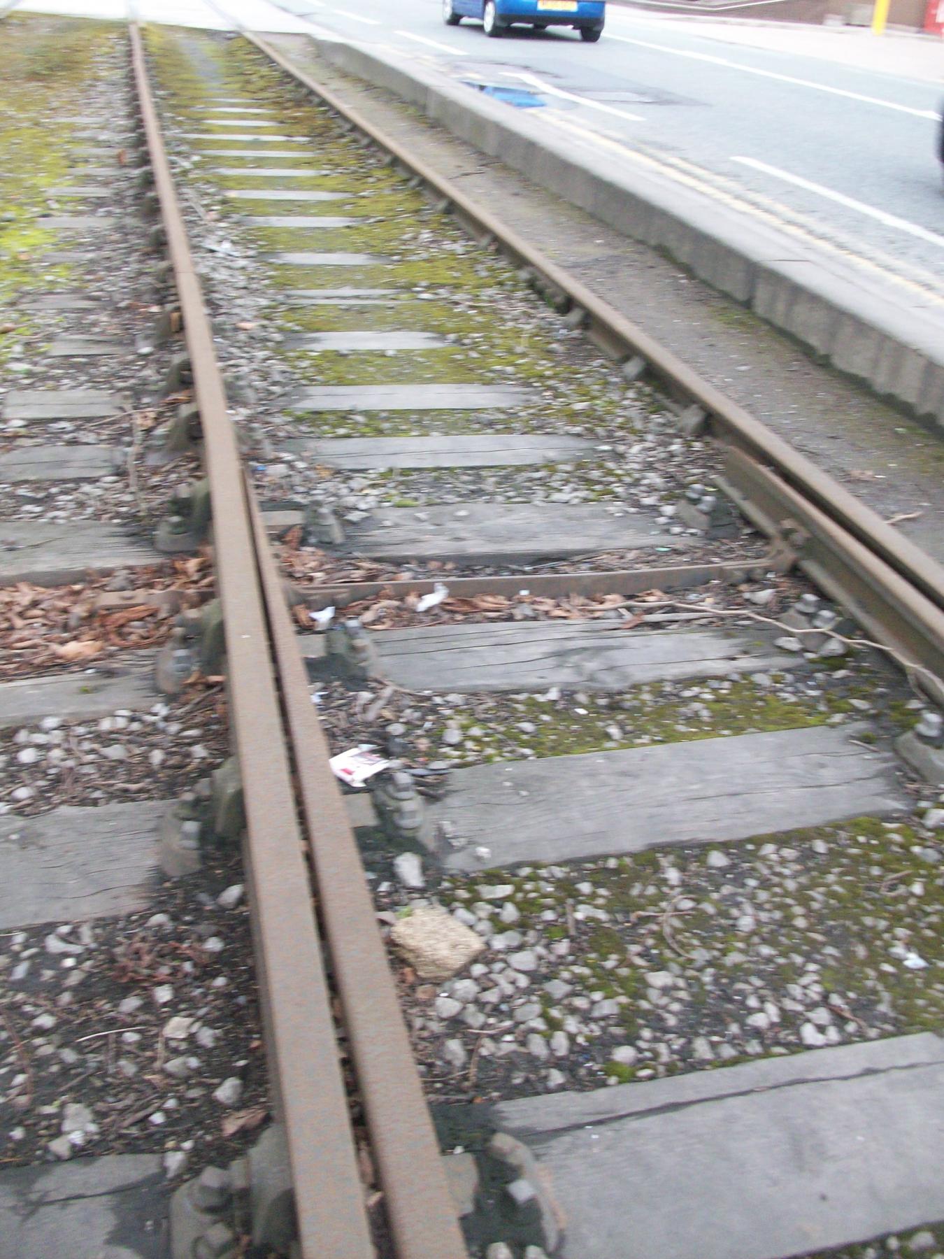 Camera Uploads 085