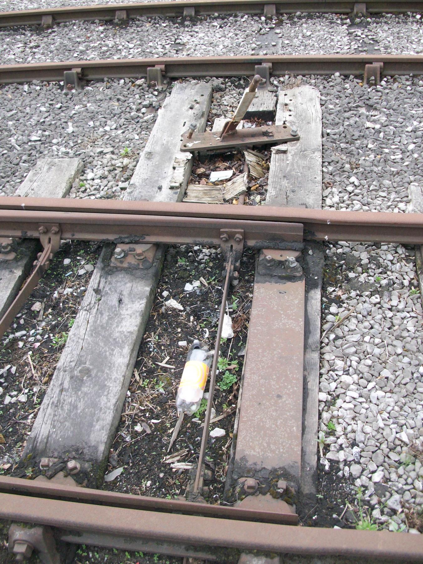 Camera Uploads 090