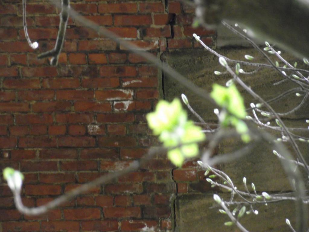 DSCF5549