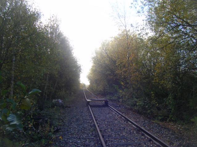 DSCF6007