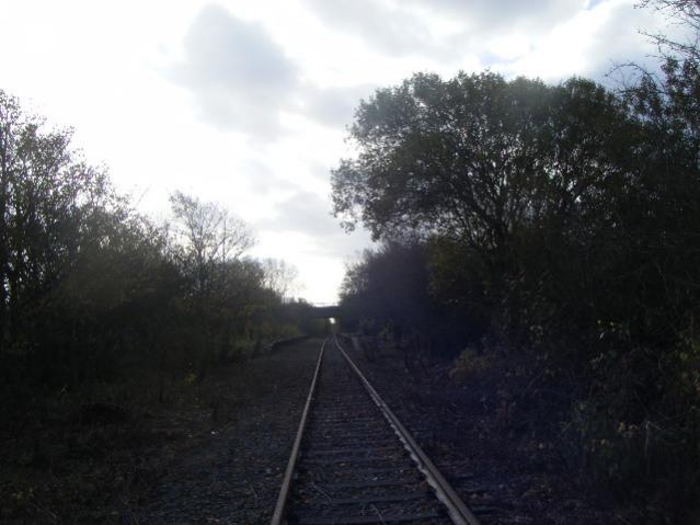 DSCF6010