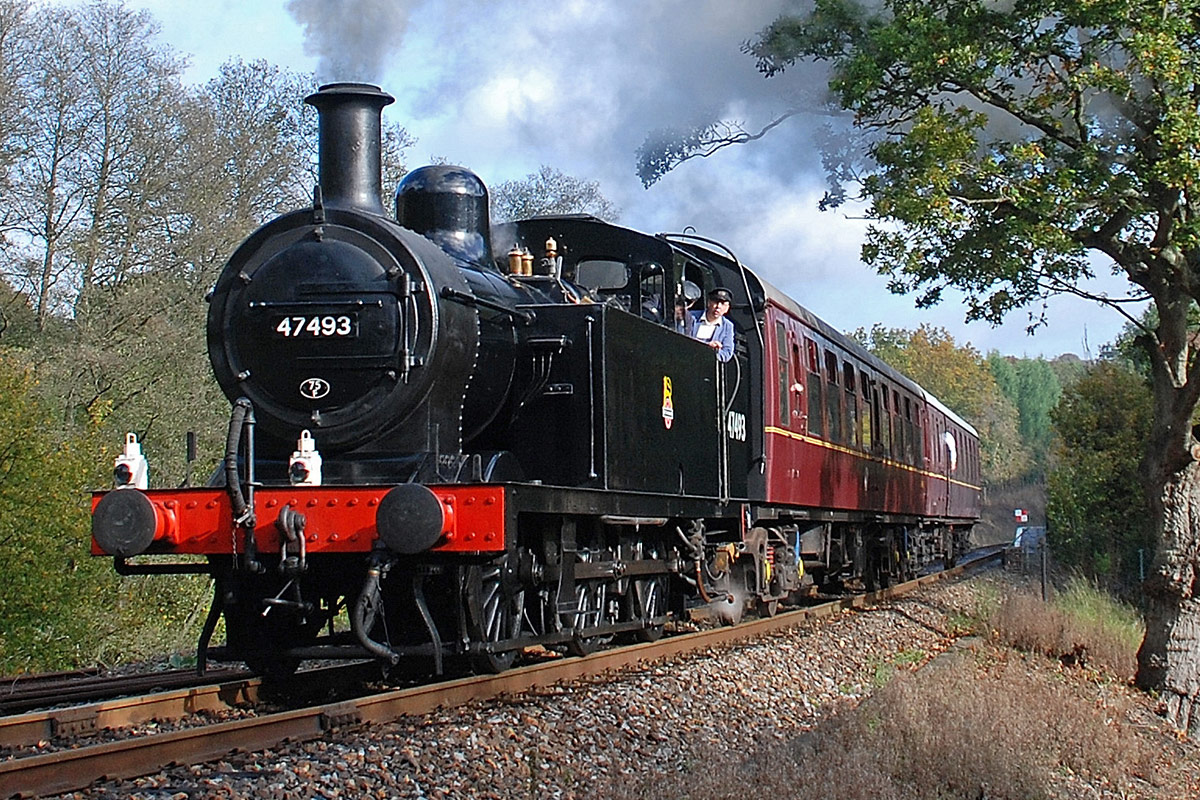 Extended-steam-train-driver-11120004